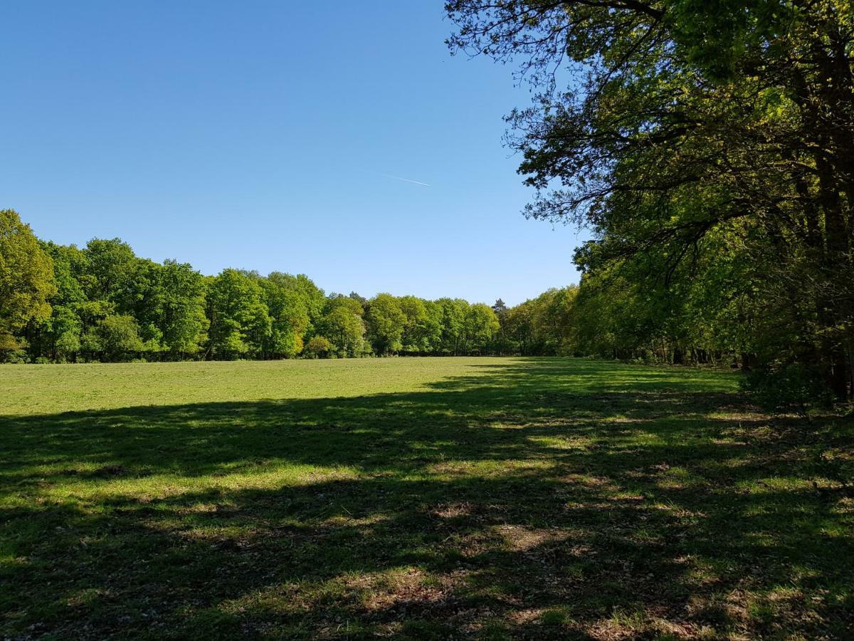 Knusse Natuur Bungalow Hartje Veluwe Otterlo Exteriér fotografie