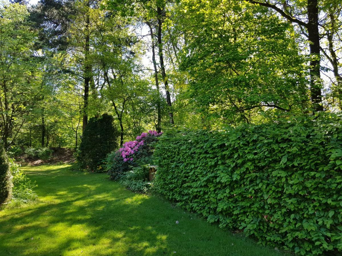 Knusse Natuur Bungalow Hartje Veluwe Otterlo Exteriér fotografie