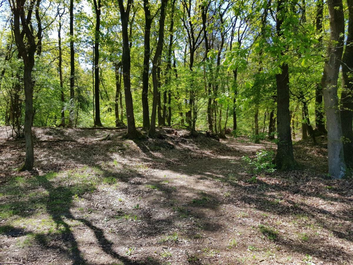 Apartmán Knusse Natuur Bungalow Hartje Veluwe Otterlo Exteriér fotografie